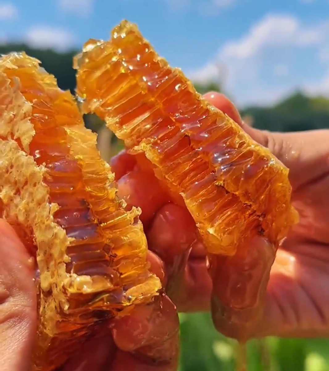 如何判断土蜂蜜的质量好坏